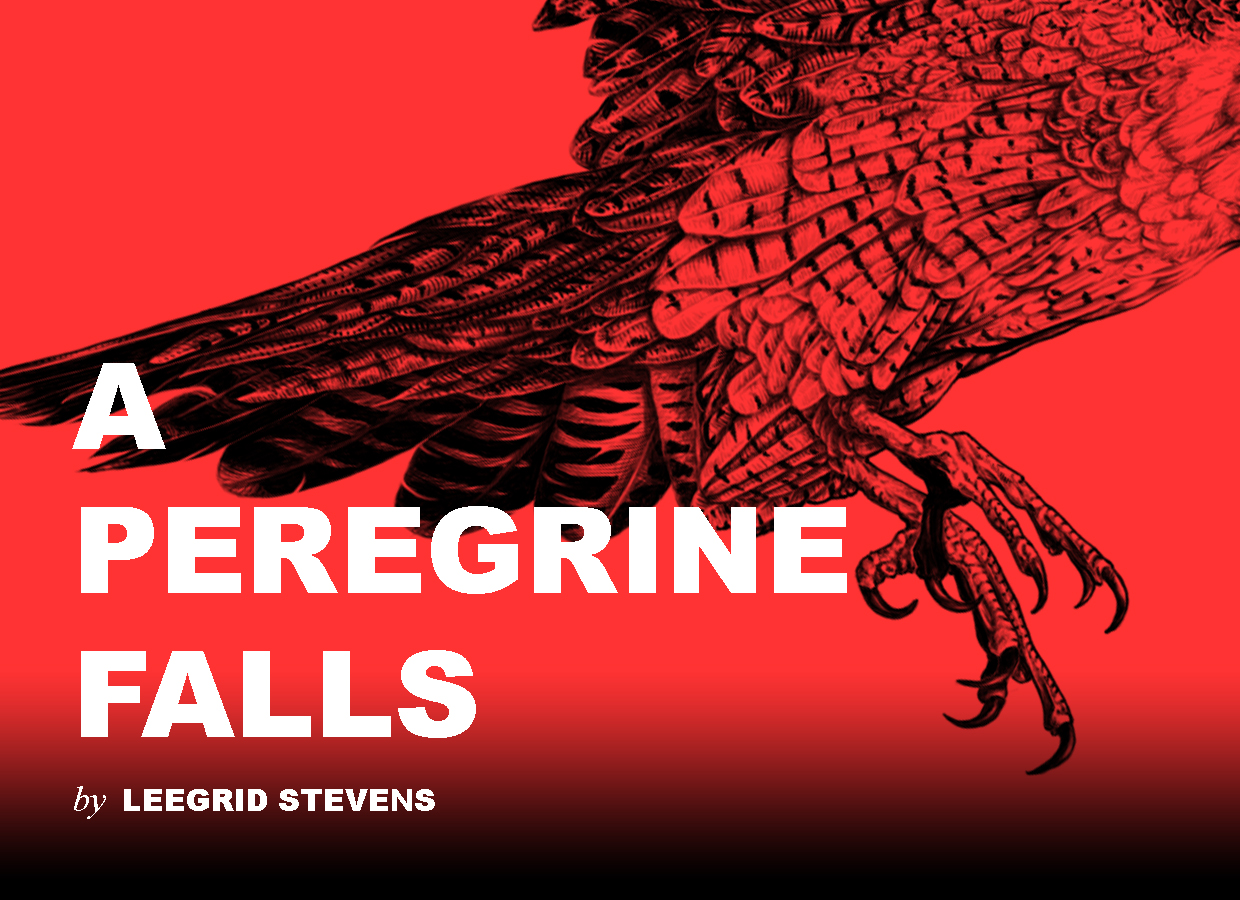 Loading Dock Theatre Show: A Peregrine Falls