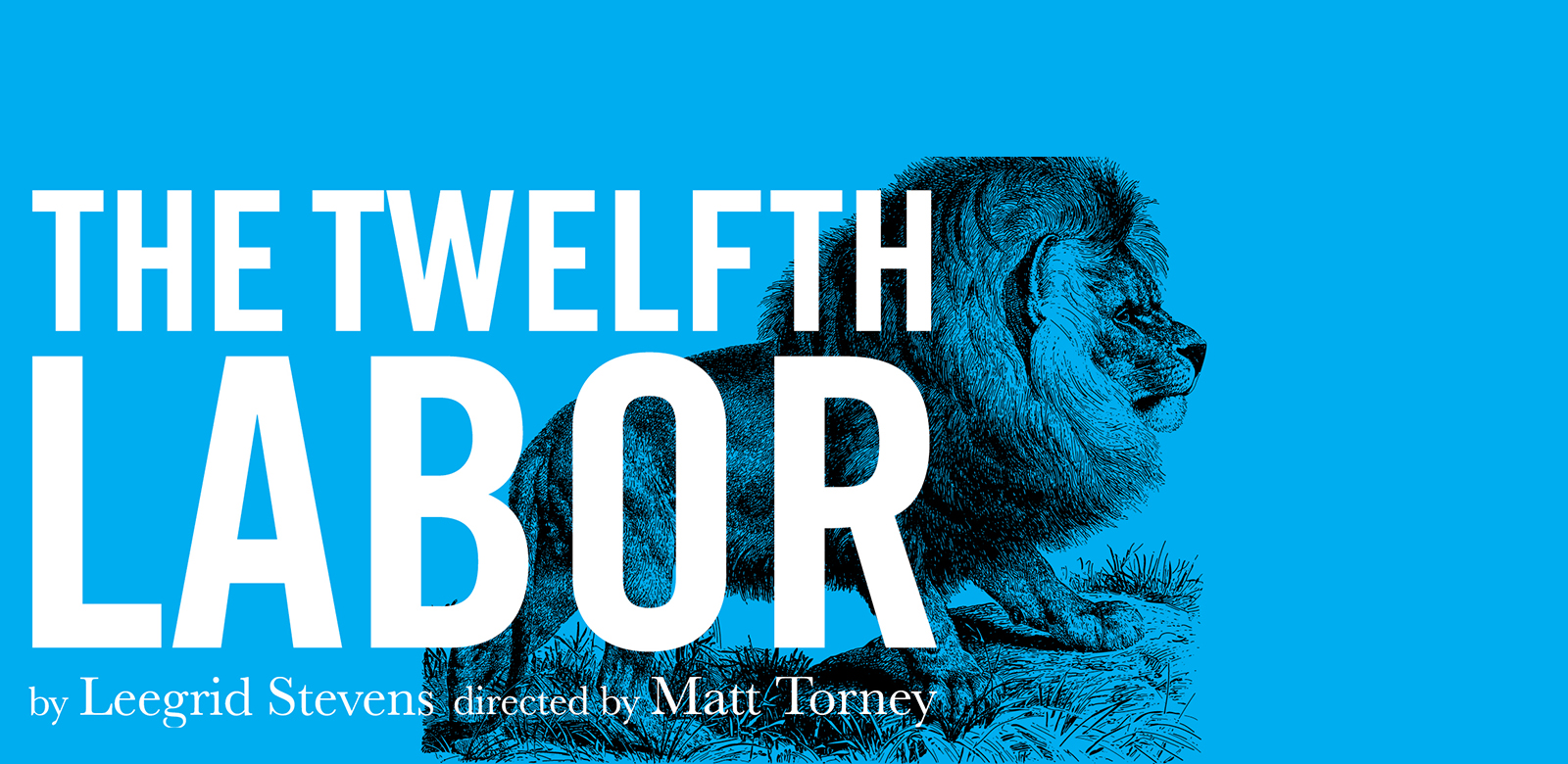 Loading Dock Theatre Show: The Twelfth Labor